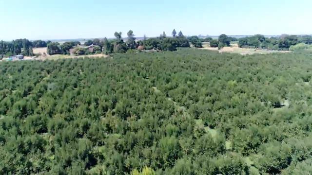 0 River Road Courtland, CA 95615 - Photo 7 of 20