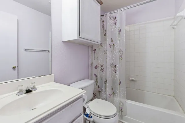 a view of backyard with garden and plants