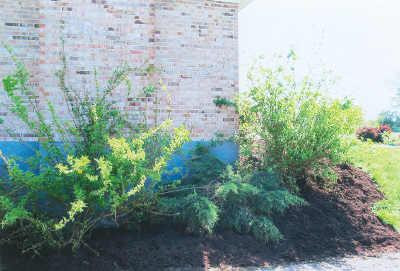 1140 Beaumont Road Nicholasville, KY 40356 - Photo 3 of 27 More landscaping view