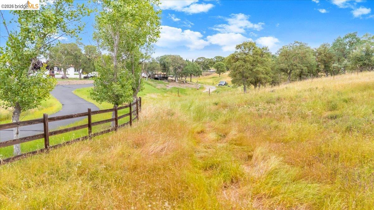 4419 Little John Road Copperopolis, CA 95228 - Photo 33 of 43 Expansive grassy terrain with mature trees, a paved driveway, and a wood-panel fence