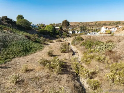 a view of a yard with a pathway