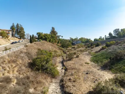 a view of a street with a trees all around