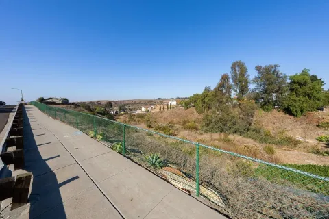 a view of a field with trees in background