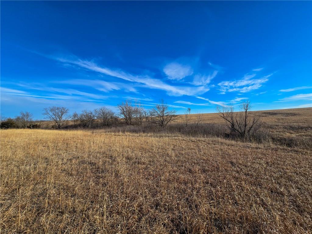 0 Sodbuster Road Harveyville, KS 66431 - Photo 11 of 98