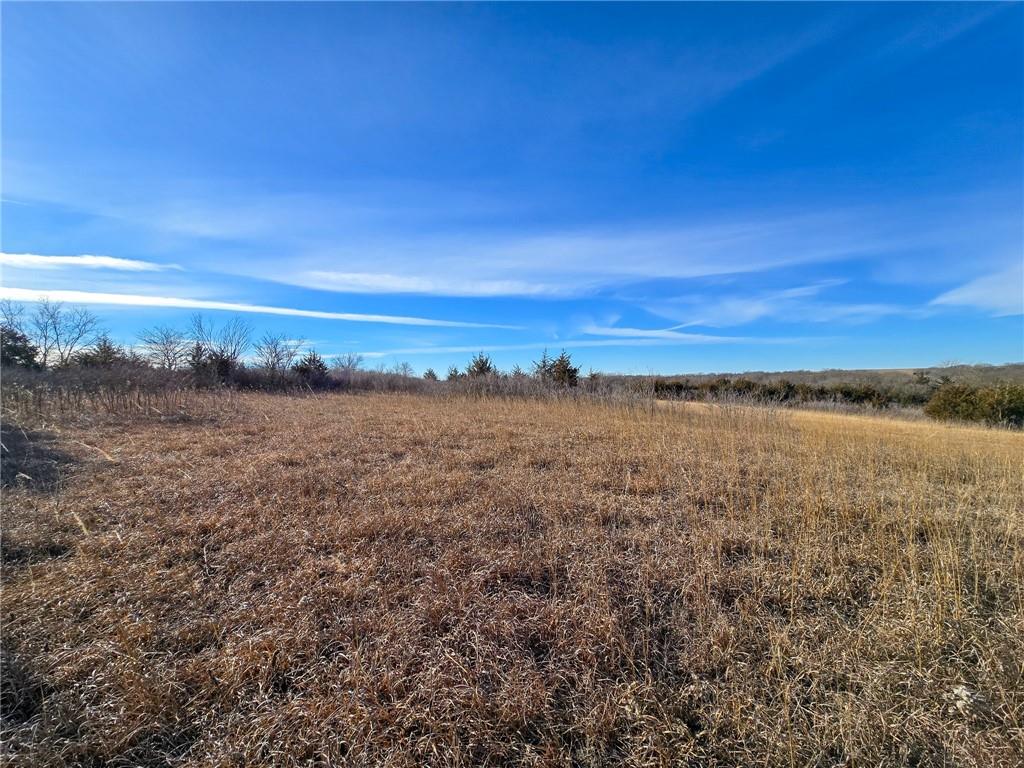 0 Sodbuster Road Harveyville, KS 66431 - Photo 12 of 98
