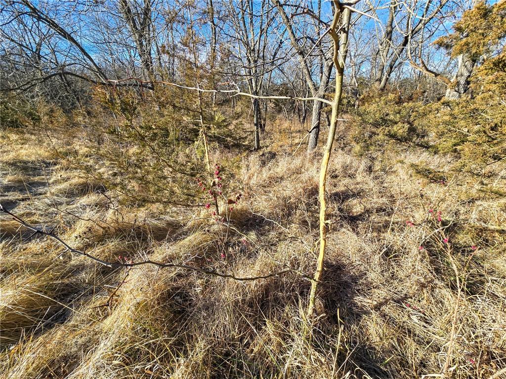 0 Sodbuster Road Harveyville, KS 66431 - Photo 14 of 98