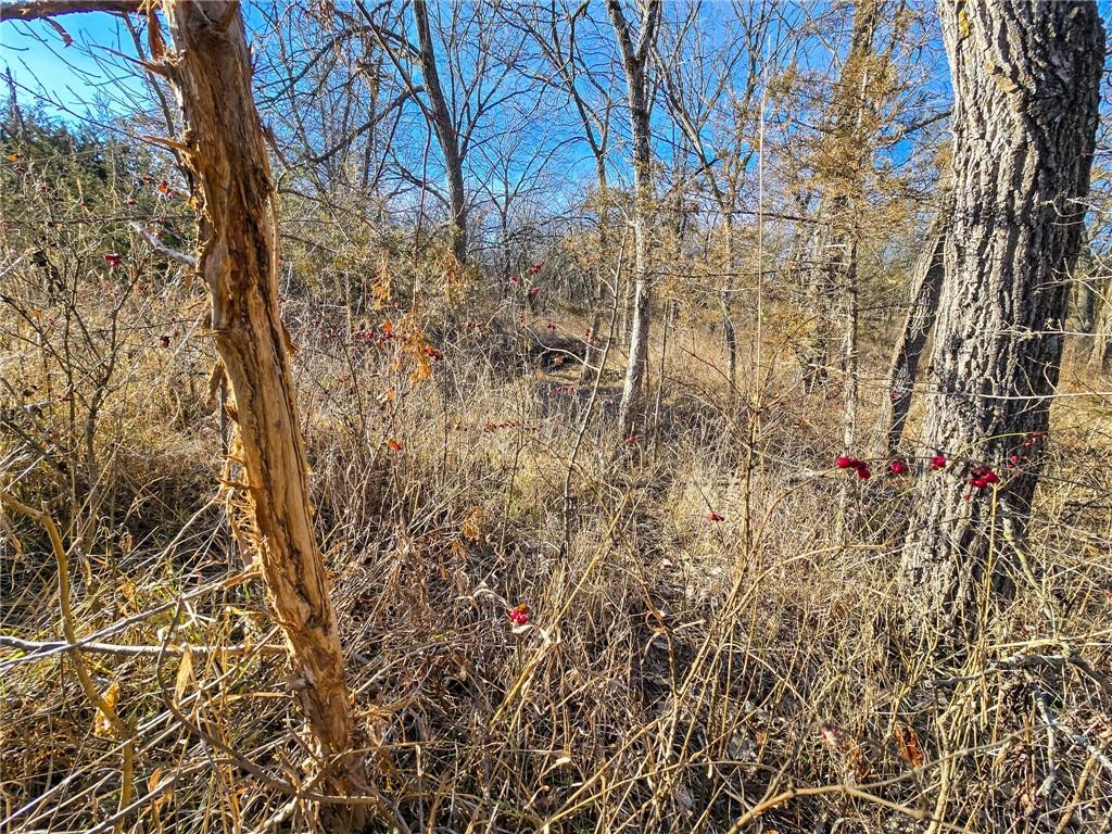 0 Sodbuster Road Harveyville, KS 66431 - Photo 15 of 98