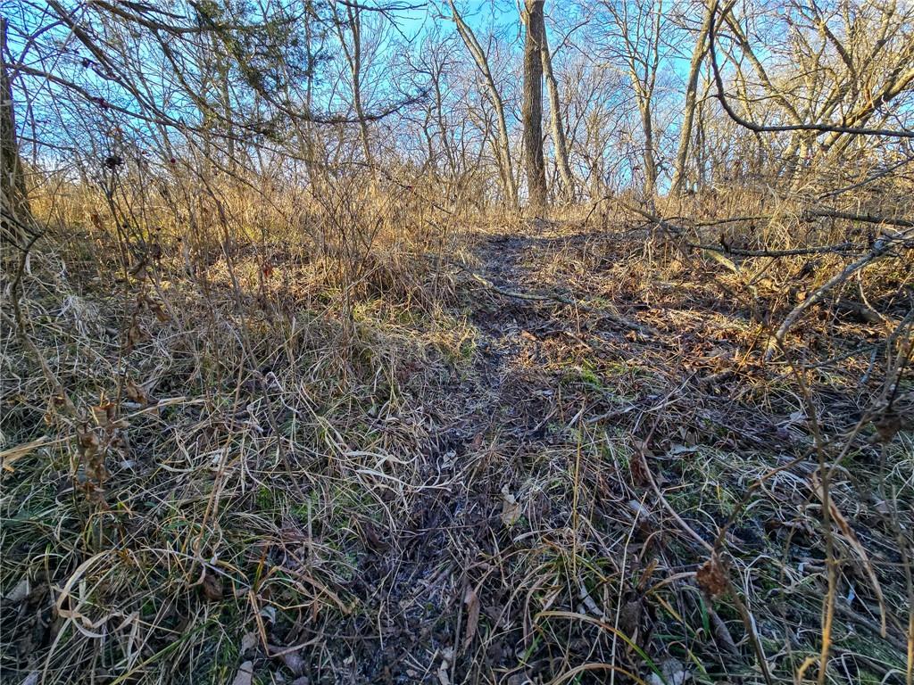 0 Sodbuster Road Harveyville, KS 66431 - Photo 16 of 98