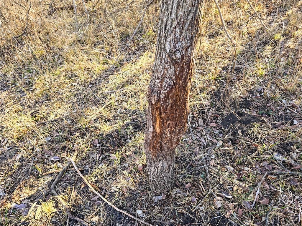 0 Sodbuster Road Harveyville, KS 66431 - Photo 18 of 98