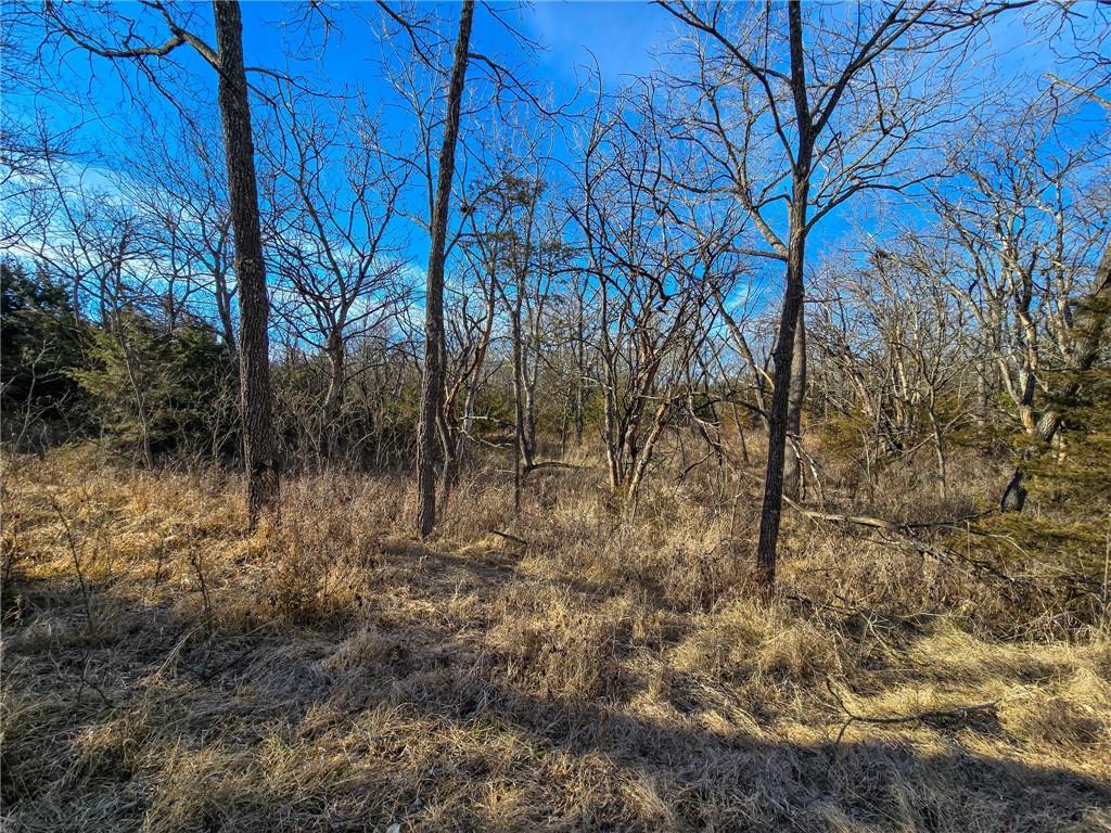 0 Sodbuster Road Harveyville, KS 66431 - Photo 19 of 98