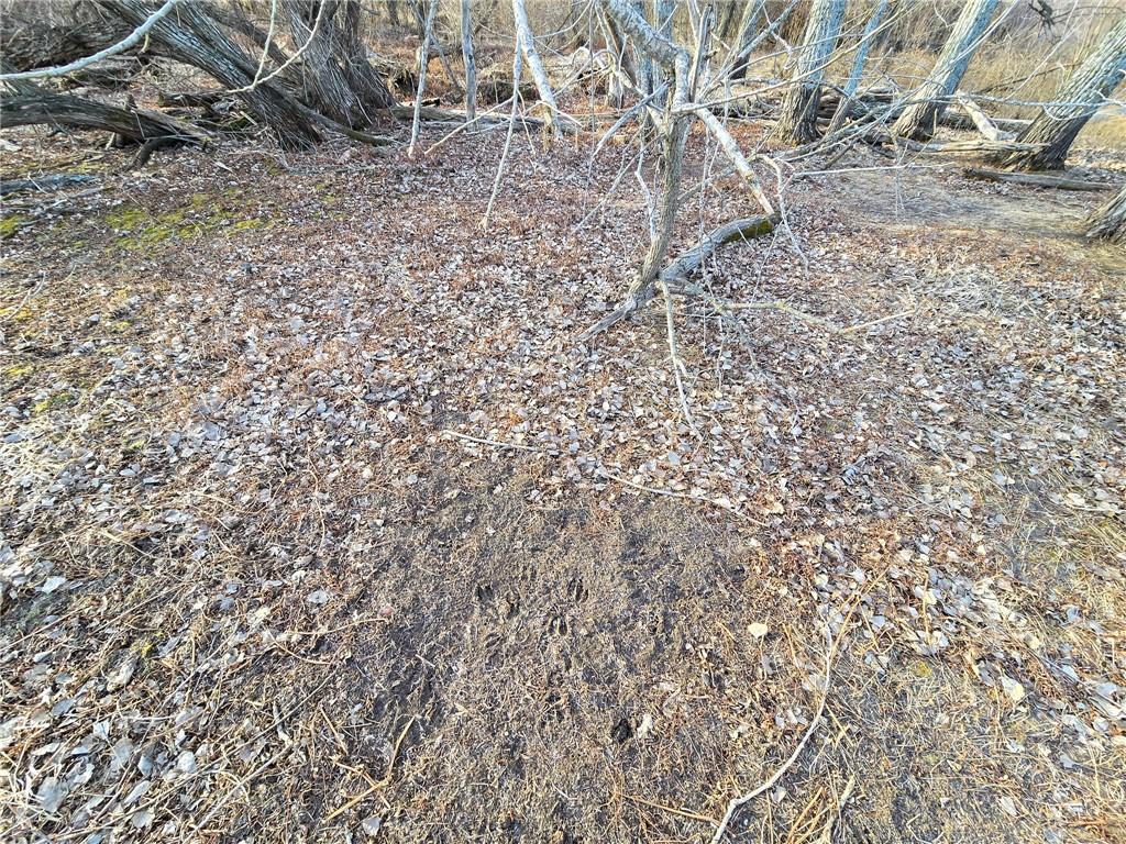 0 Sodbuster Road Harveyville, KS 66431 - Photo 25 of 98