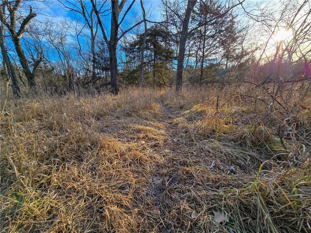 0 Sodbuster Road Harveyville, KS 66431 - Photo 27 of 98
