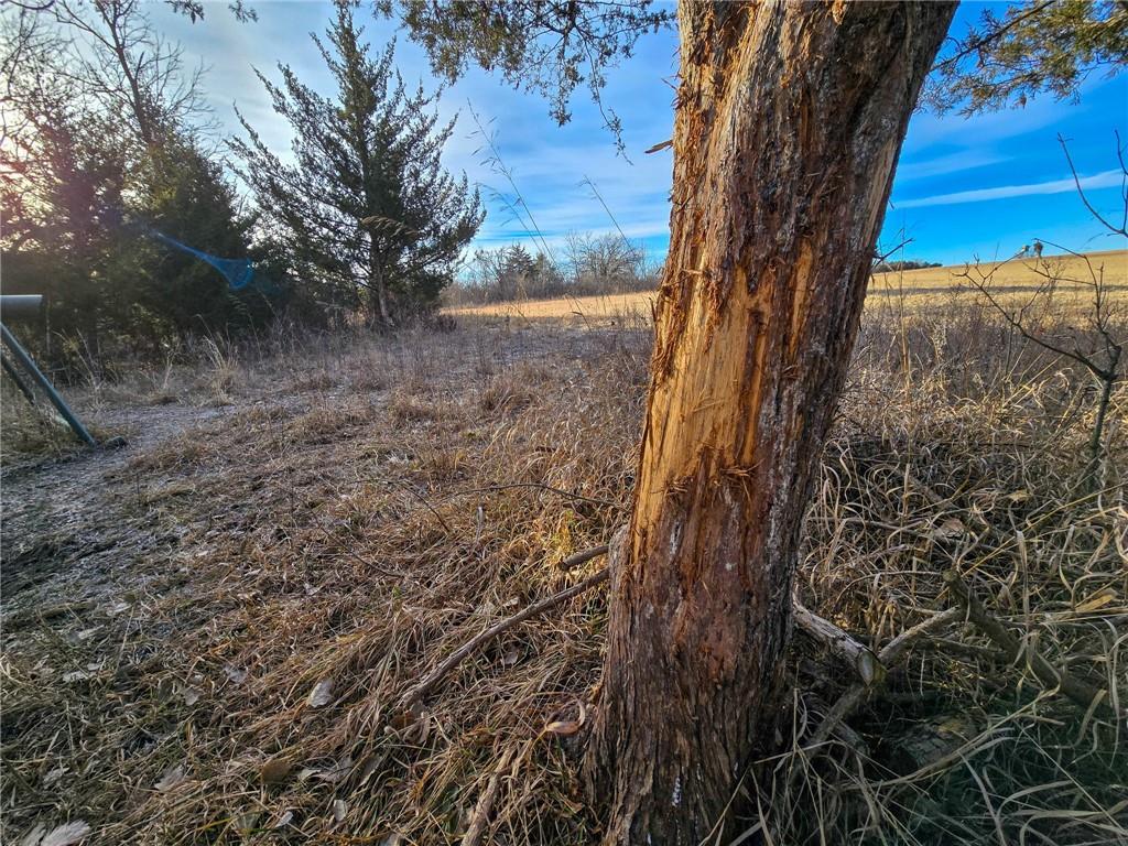 0 Sodbuster Road Harveyville, KS 66431 - Photo 29 of 98