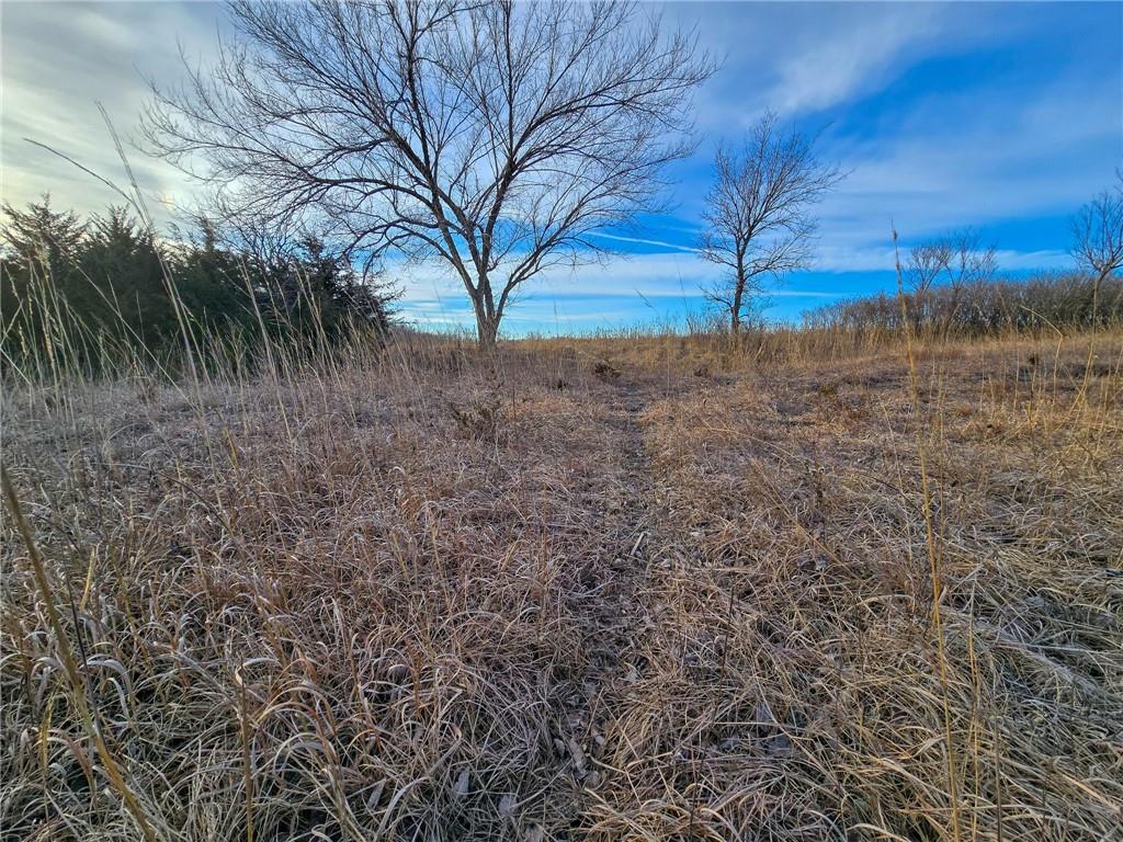 0 Sodbuster Road Harveyville, KS 66431 - Photo 4 of 98