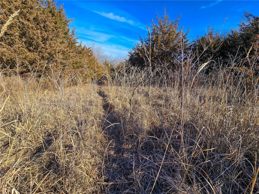 0 Sodbuster Road Harveyville, KS 66431 - Photo 42 of 98