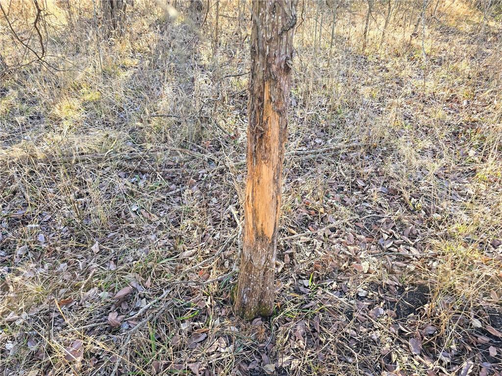 0 Sodbuster Road Harveyville, KS 66431 - Photo 48 of 98