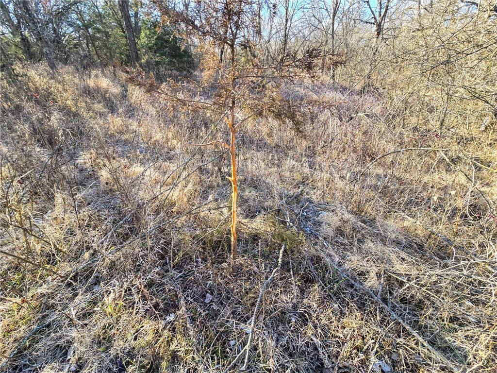 0 Sodbuster Road Harveyville, KS 66431 - Photo 49 of 98