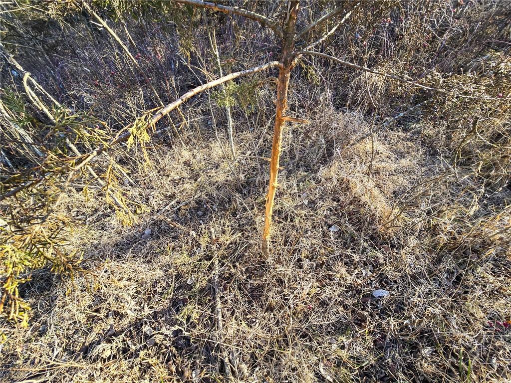 0 Sodbuster Road Harveyville, KS 66431 - Photo 50 of 98