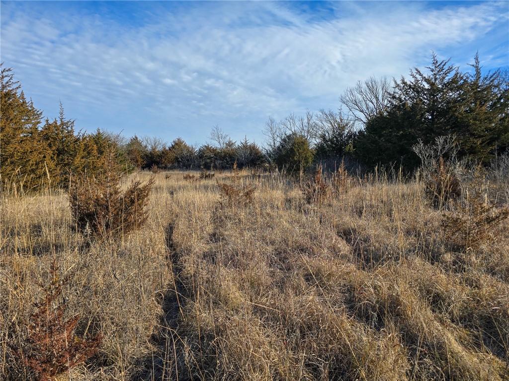 0 Sodbuster Road Harveyville, KS 66431 - Photo 52 of 98