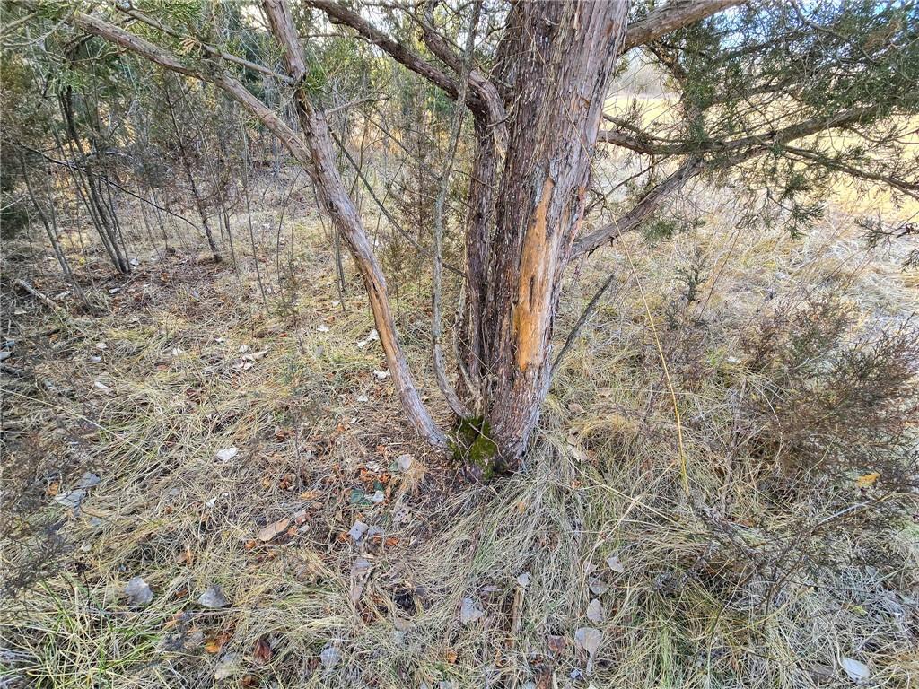 0 Sodbuster Road Harveyville, KS 66431 - Photo 60 of 98