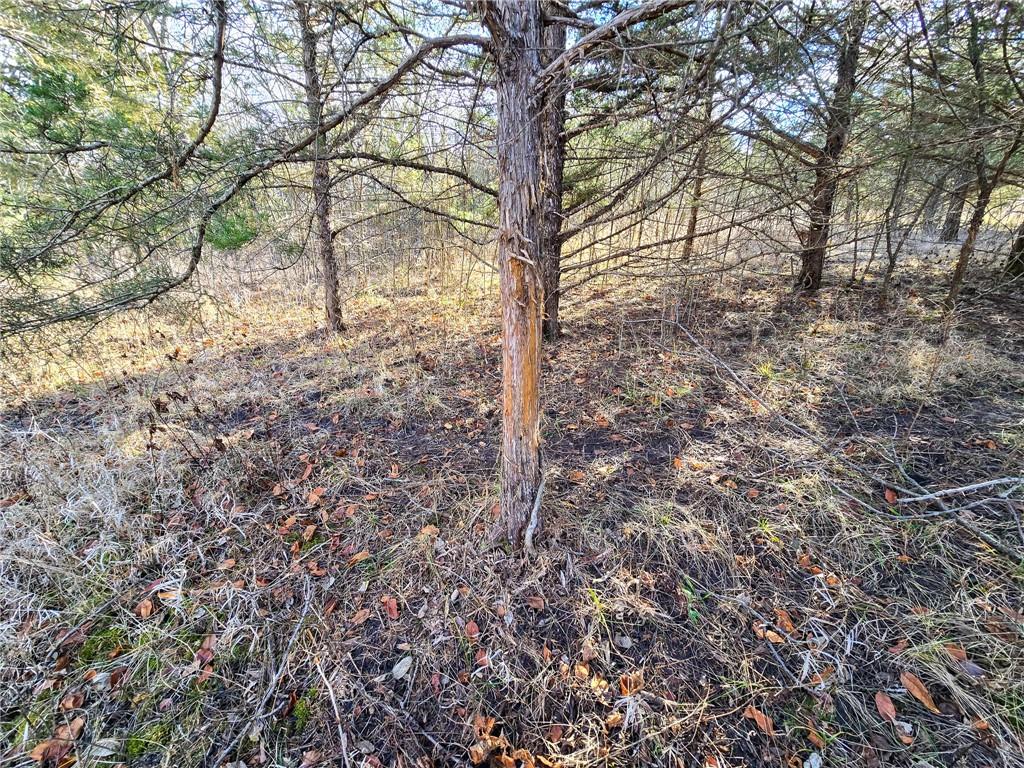 0 Sodbuster Road Harveyville, KS 66431 - Photo 66 of 98