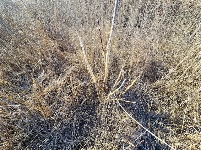 $726,480 | 0 Sodbuster Road, Harveyville, KS 66431