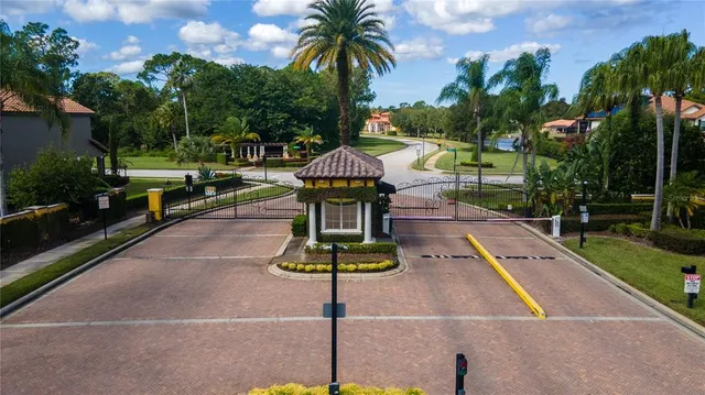 a swimming pool with a yard and palm trees