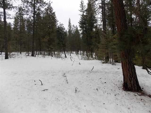 50-xx Rail Canyon Road Springdale, WA 99173 - Photo 1 of 7 Gallery Image 1