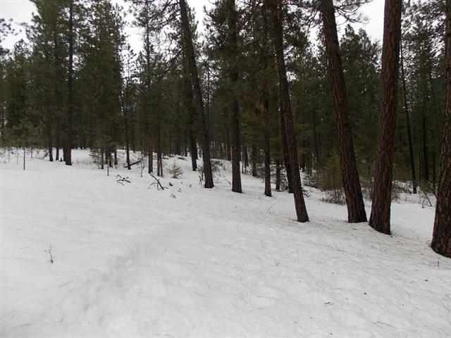 50-xx Rail Canyon Road Springdale, WA 99173 - Photo 2 of 7 Gallery Image 2
