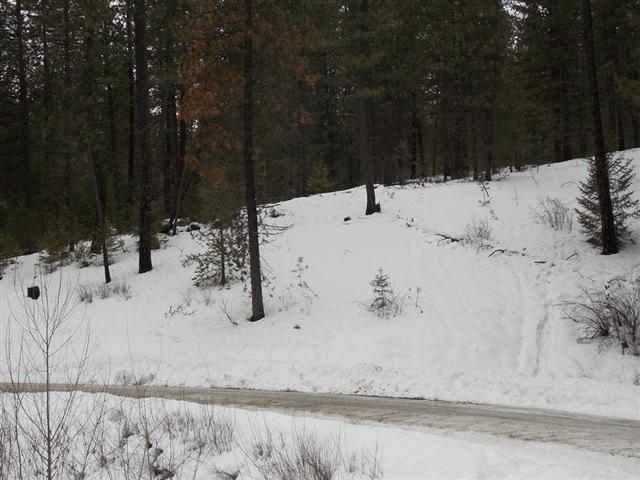 50-xx Rail Canyon Road Springdale, WA 99173 - Photo 5 of 7 Gallery Image 5