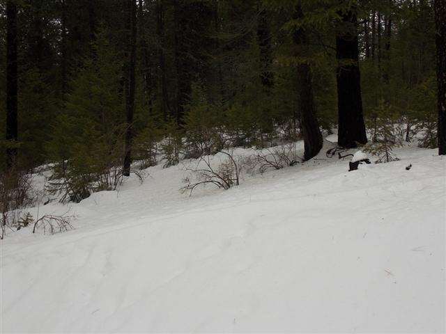50-xx Rail Canyon Road Springdale, WA 99173 - Photo 6 of 7 Gallery Image 6