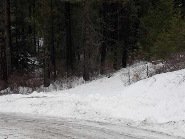 50-xx Rail Canyon Road Springdale, WA 99173 - Photo 7 of 7 Gallery Image 7