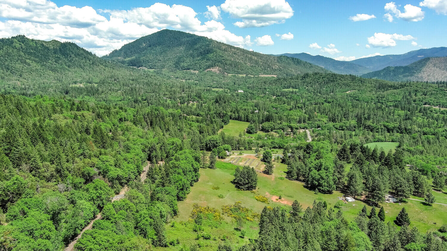 5916 Tunnel Loop Road Grants Pass, OR 97526 - Photo 37 of 65 a view of a lush green forest with lots of trees