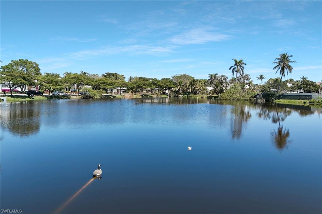 645 Bougainvillea Road Naples, FL 34102 - Photo 7 of 23 Gallery Image 7