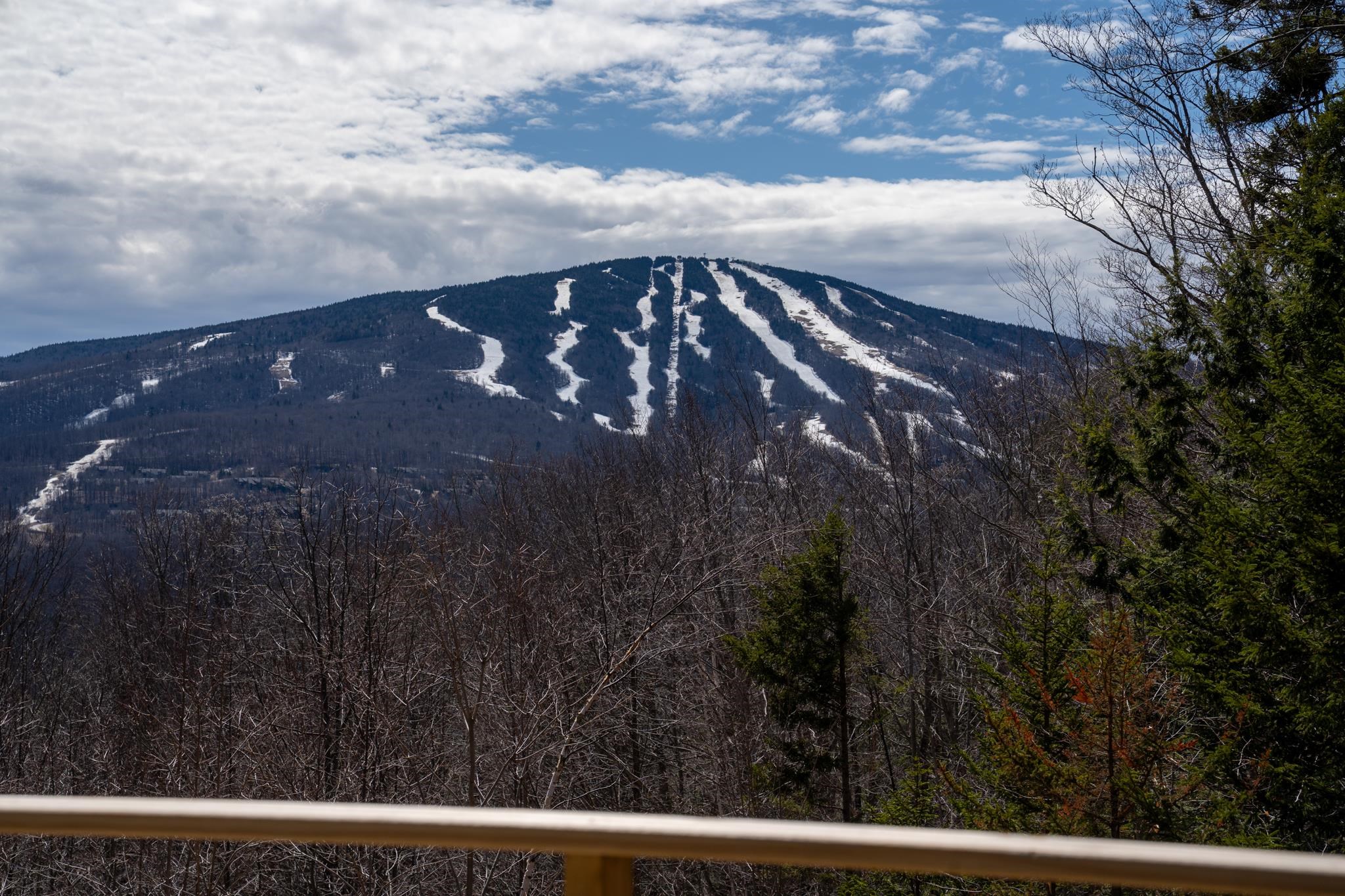 4 Pearl Buck Drive Winhall, VT 05340 - Photo 3 of 39