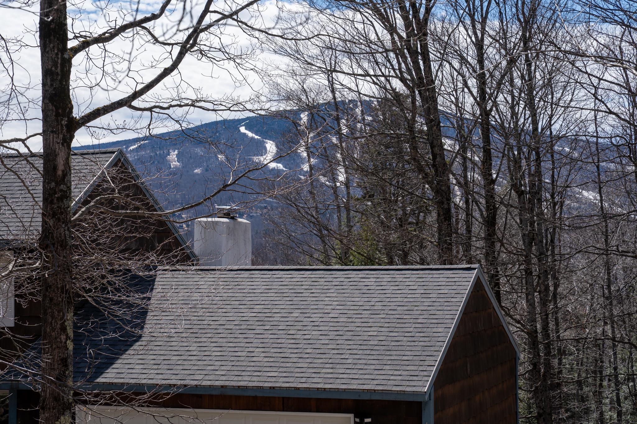 4 Pearl Buck Drive Winhall, VT 05340 - Photo 36 of 39