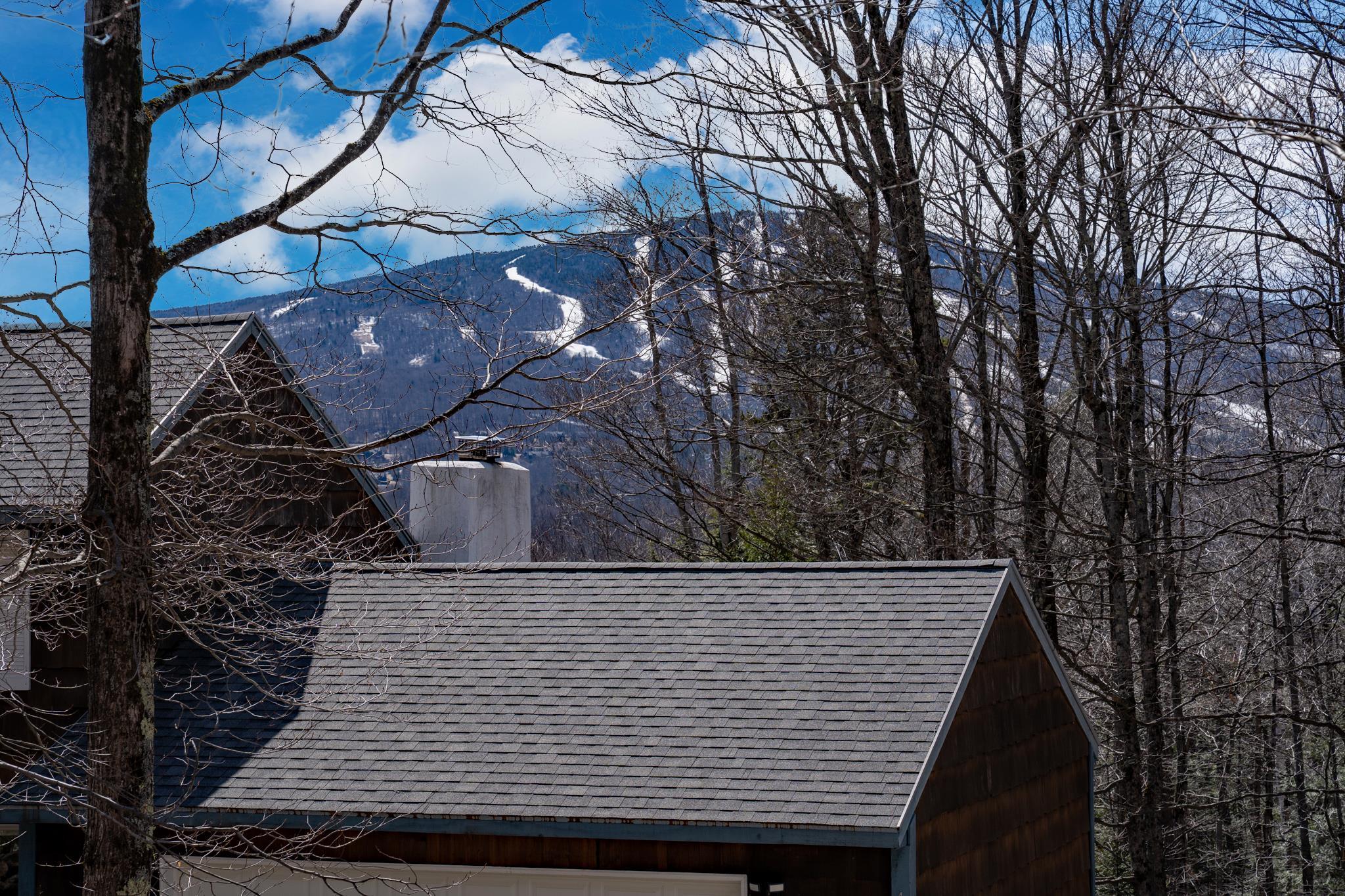 4 Pearl Buck Drive Winhall, VT 05340 - Photo 39 of 39
