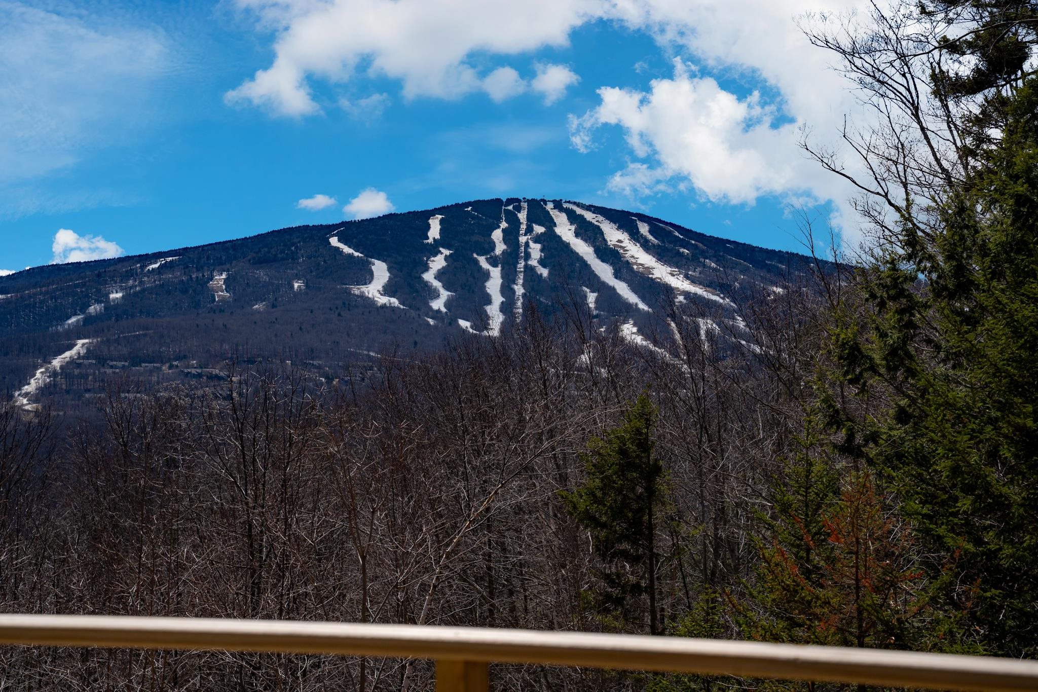 4 Pearl Buck Drive Winhall, VT 05340 - Photo 4 of 39