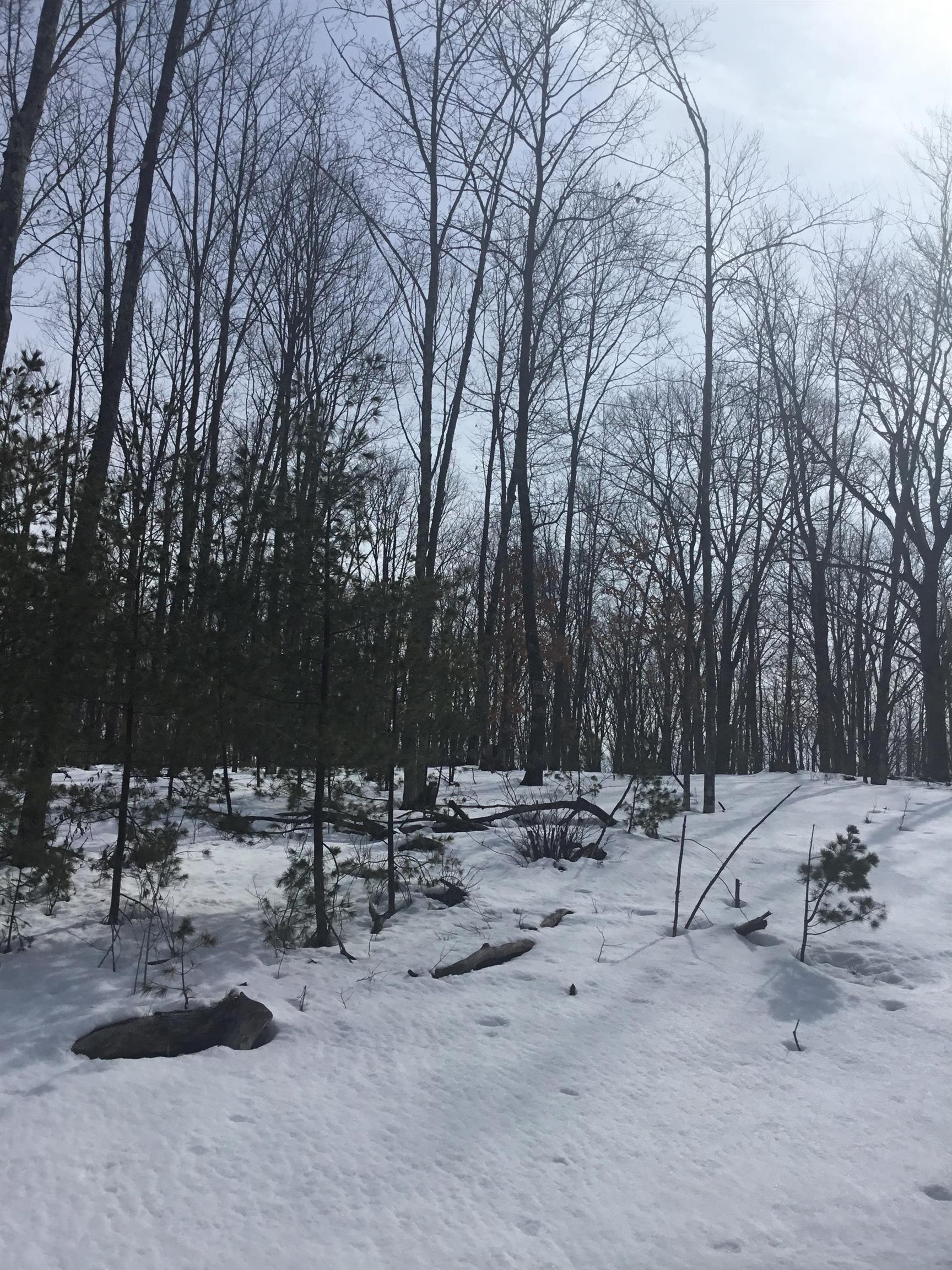 N11266 Rhett Lane, Unit 7 Wausaukee, WI 54177 - Photo 1 of 7