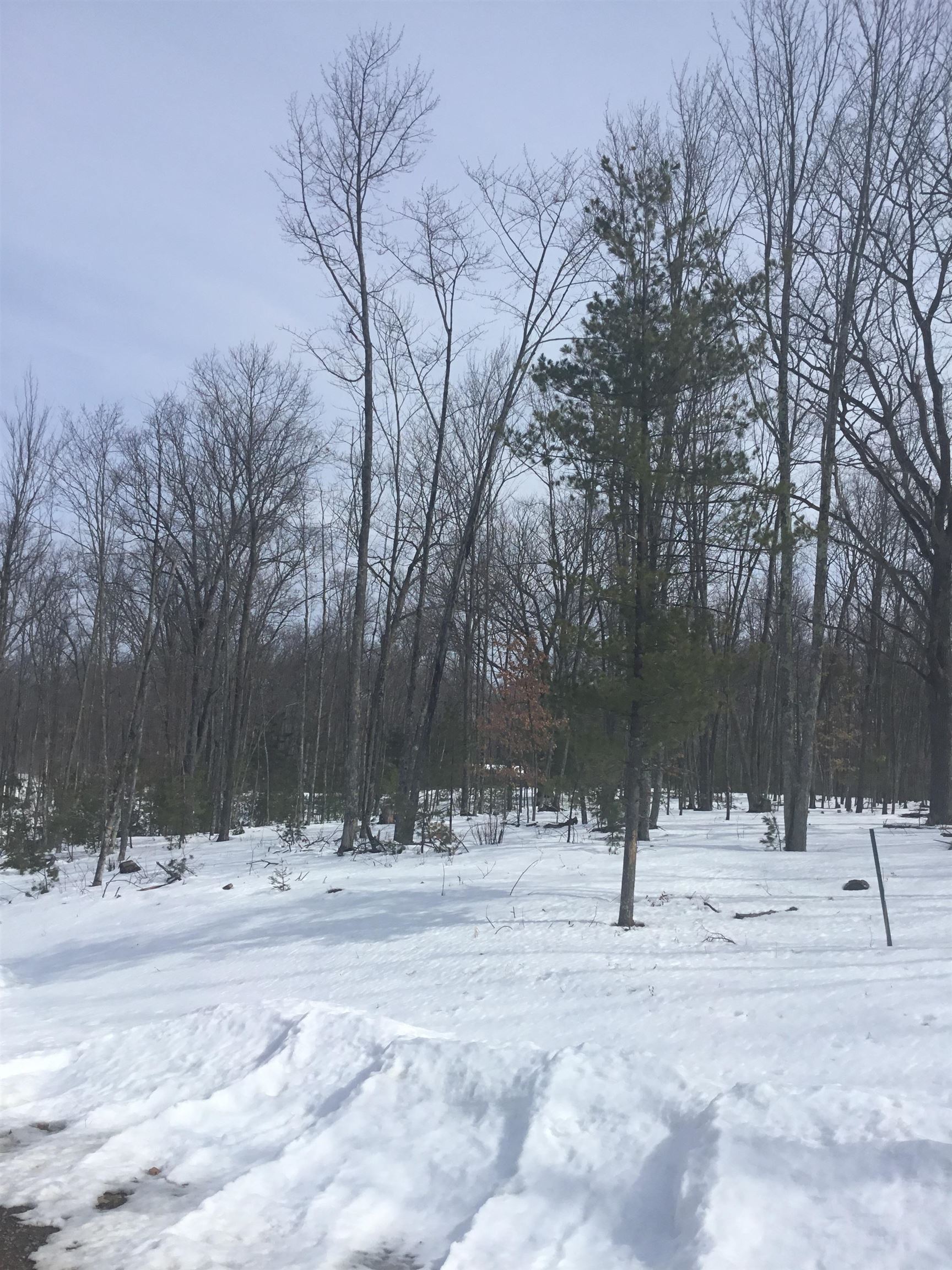 N11266 Rhett Lane, Unit 7 Wausaukee, WI 54177 - Photo 5 of 7