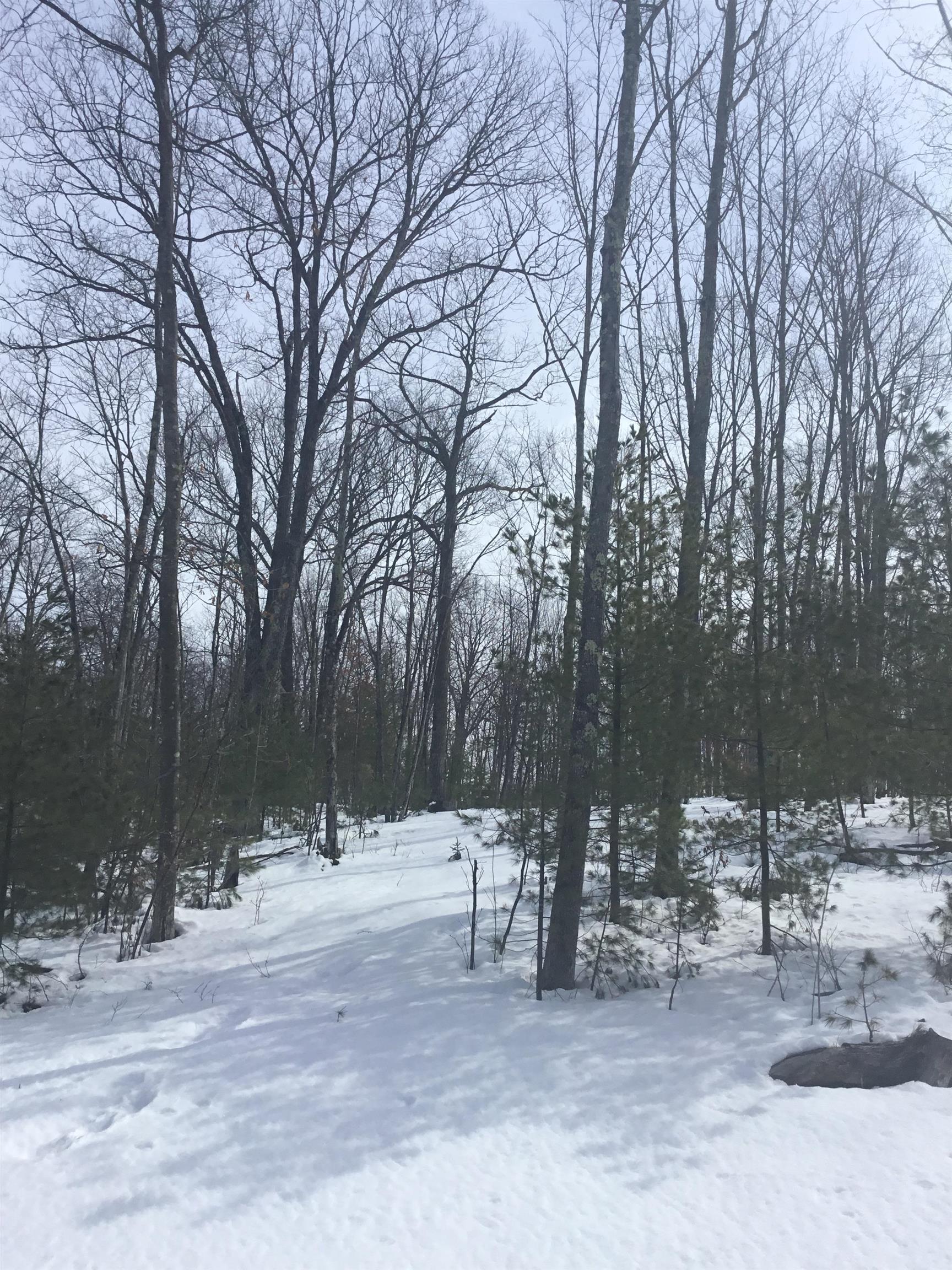 N11266 Rhett Lane, Unit 7 Wausaukee, WI 54177 - Photo 6 of 7