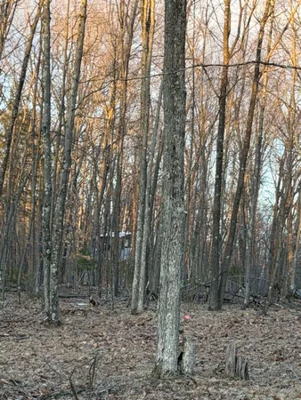 $27,166 | N11266 Rhett Lane, Unit 7, Wausaukee, WI 54177