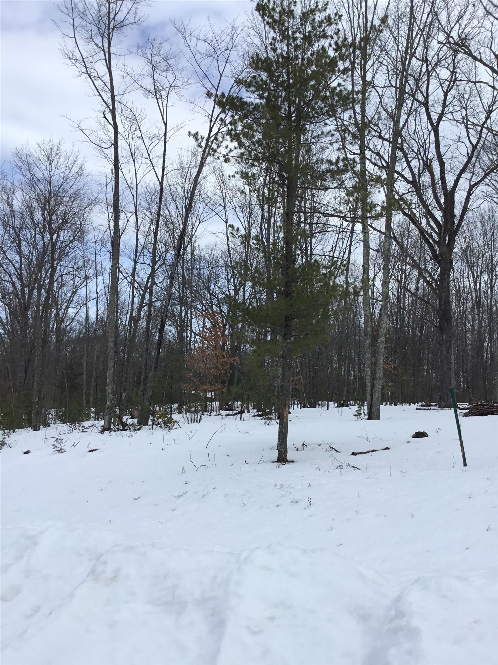 N11266 Rhett Lane, Unit 7 Wausaukee, WI 54177 - Photo 7 of 7