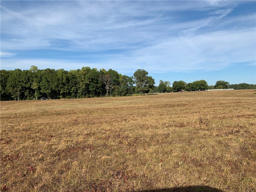 0 Calhoun Road Belton, SC 29627 - Photo 4 of 8