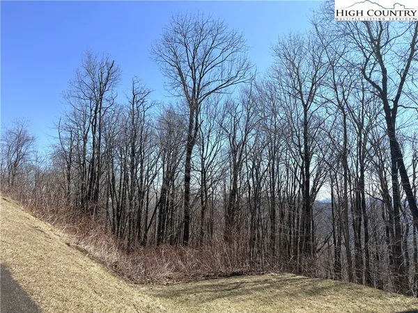 a backyard of a house with parked trees