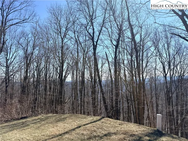 a view of a backyard of the house