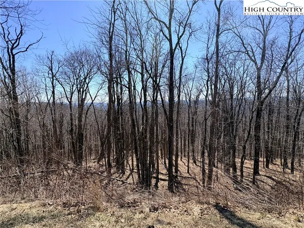 a view of backyard space with trees