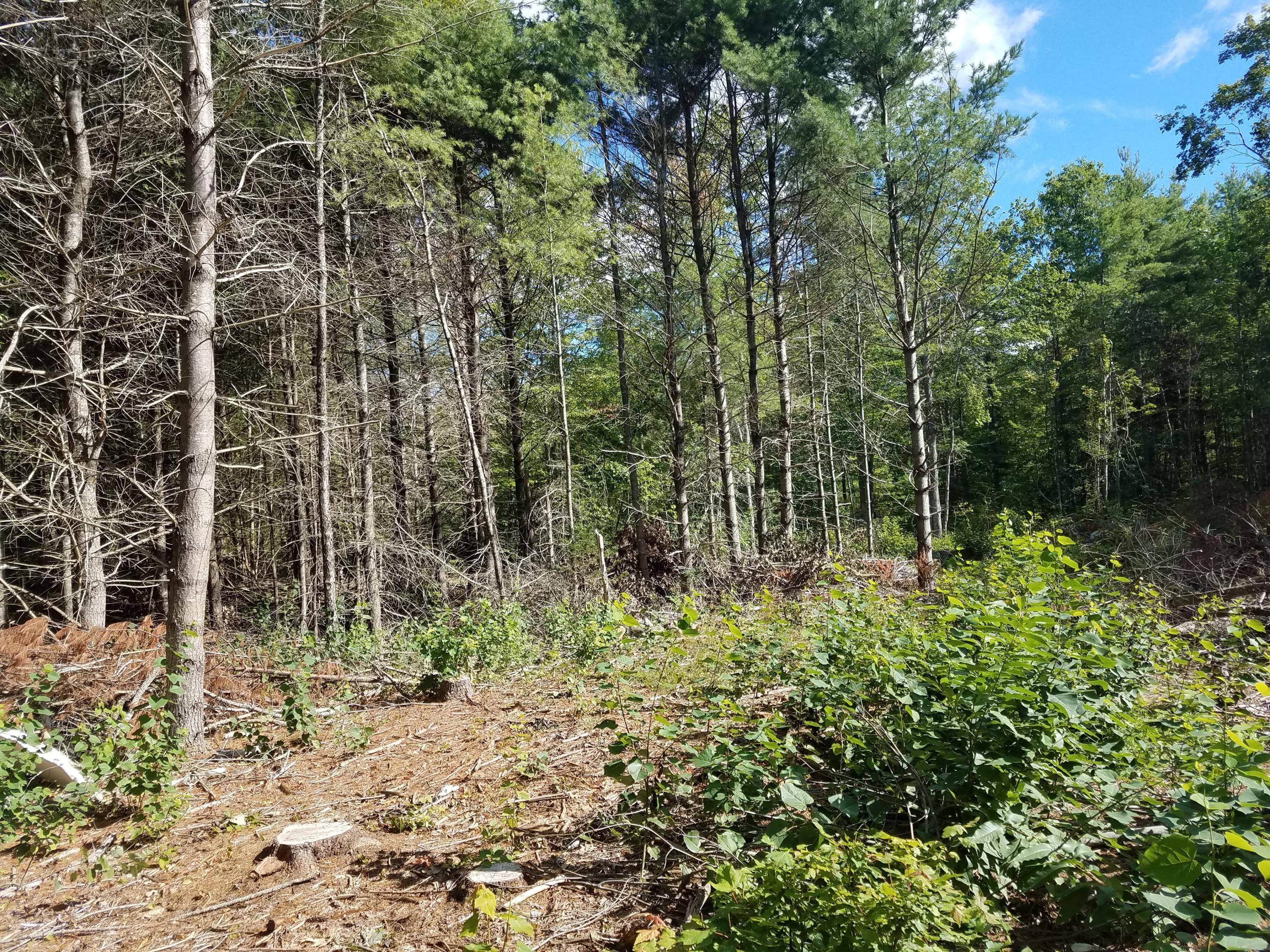 693 Bog Road