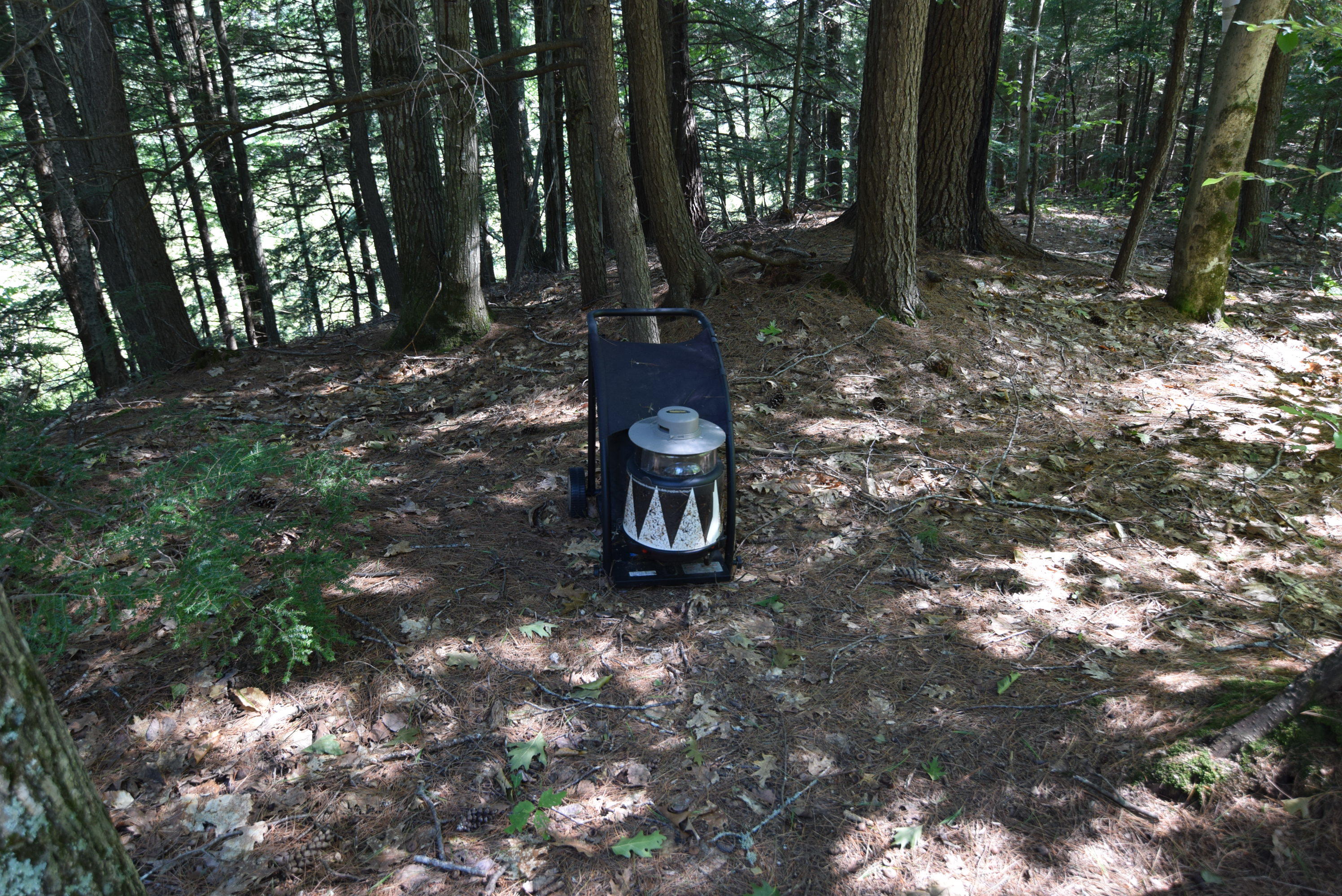 236 Chesterville Ridge Road Kents Hill, ME 04349 - Photo 9 of 41 09-bug zapper
