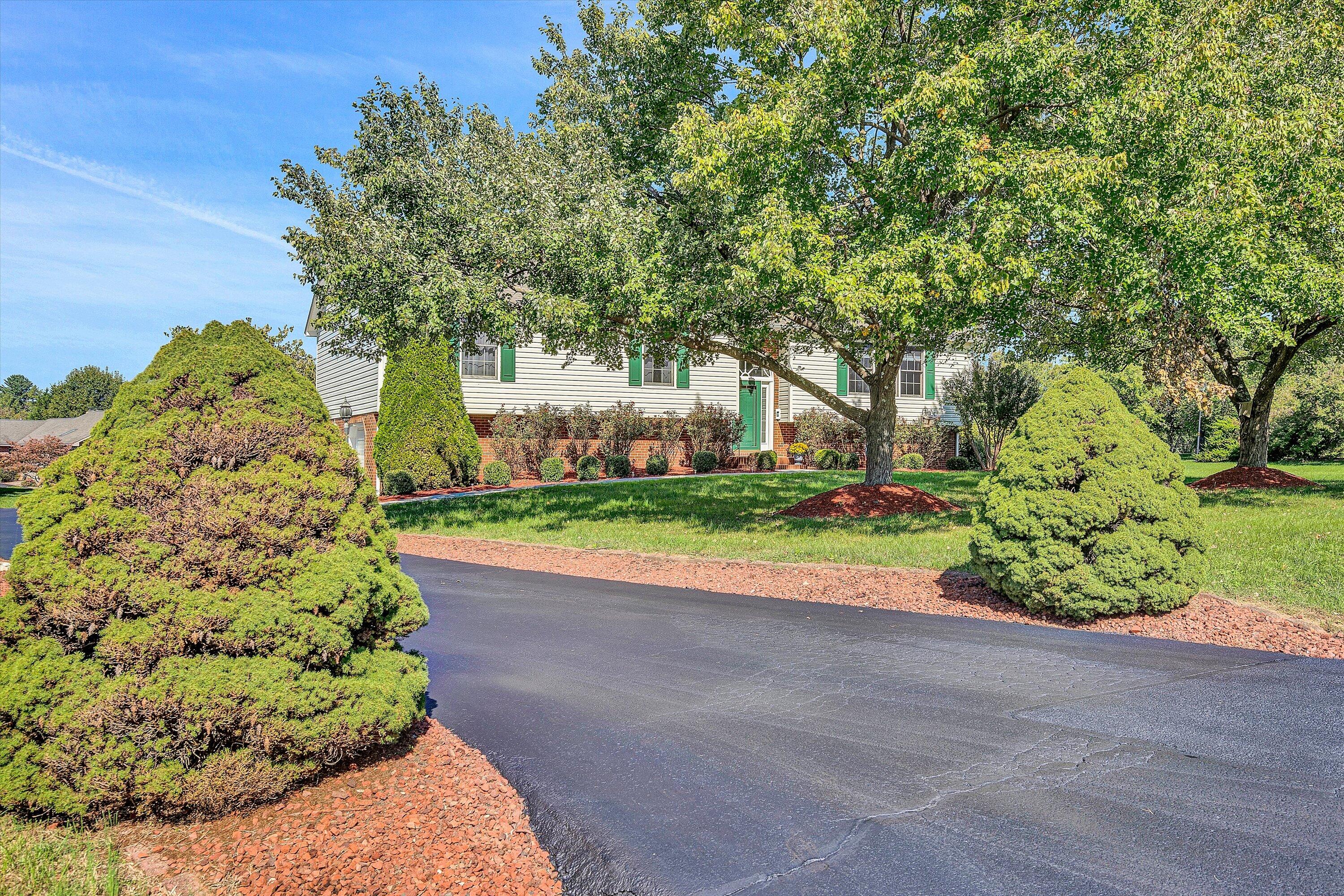 113 Aftons Meadow Road Vinton, VA 24179 - Photo 2 of 36 View from Driveway